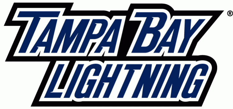 Tampa Bay Lightning 2011 Wordmark Logo t shirts DIY iron ons